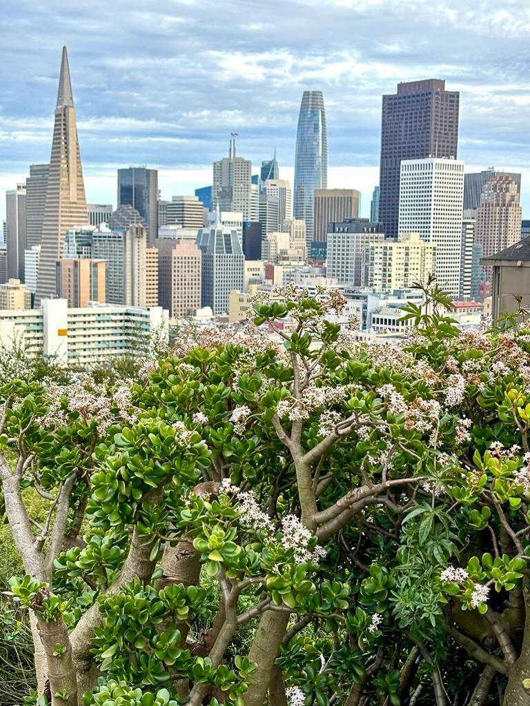 Ith San Francisco Pacific Tradewinds Backpacker Hostel Екстер'єр фото